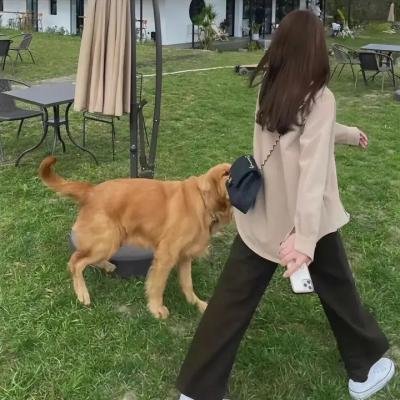 圣诞老爸